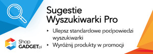 Sugestie Wyszukiwarki