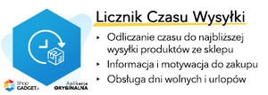 Licznik Czasu Wysyłki