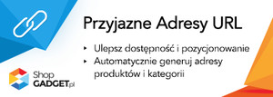 Przyjazne Adresy URL