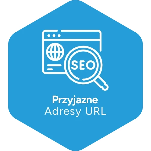 Przyjazne Adresy URL - aplikacja Shoper