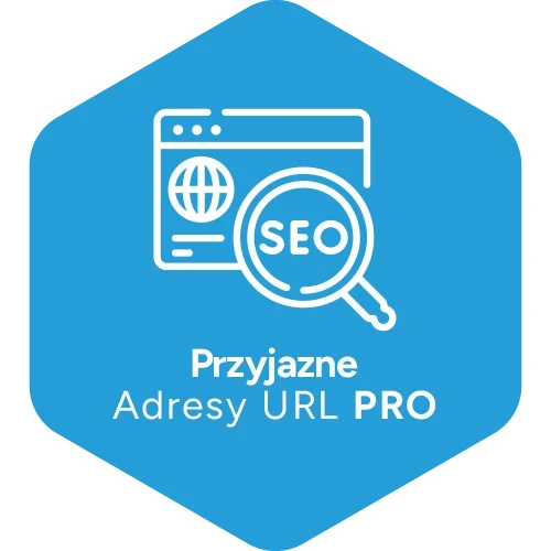Przyjazne Adresy URL PRO - aplikacja Shoper